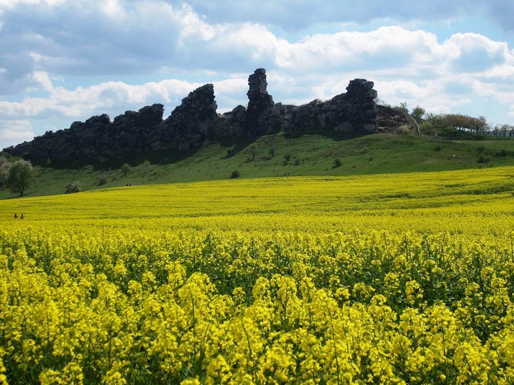Ferienhaus Wotan Thale Kültér fotó